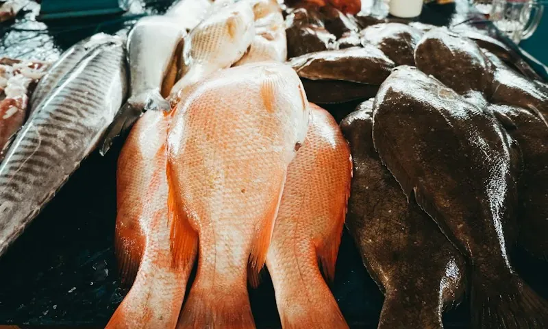 Perikanan dan hasil laut