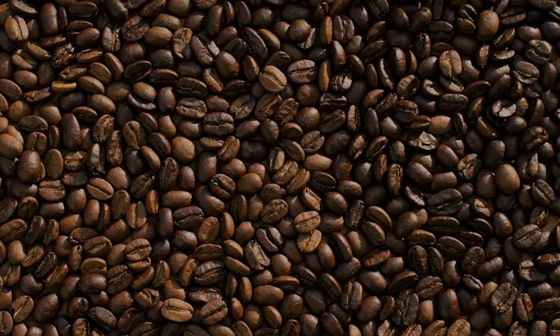 Oleh-oleh carica dan kopi